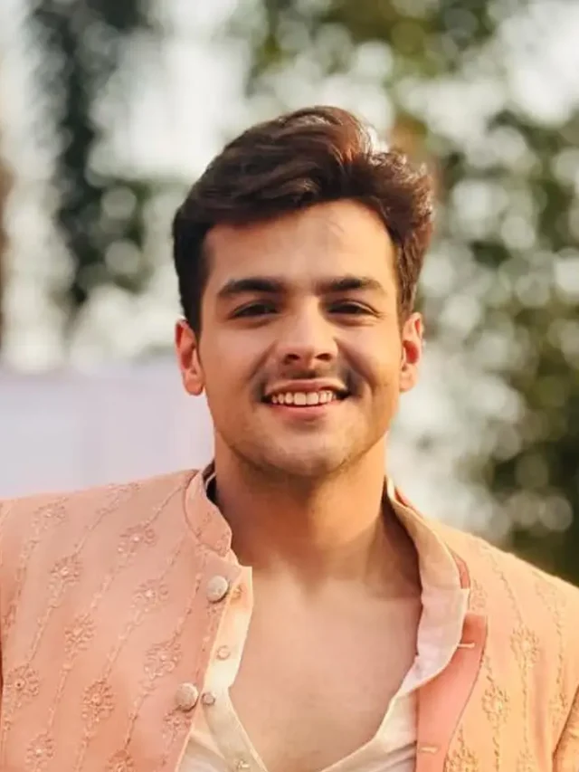 How much is Ashish Chanchlani’s net worth in 2025?