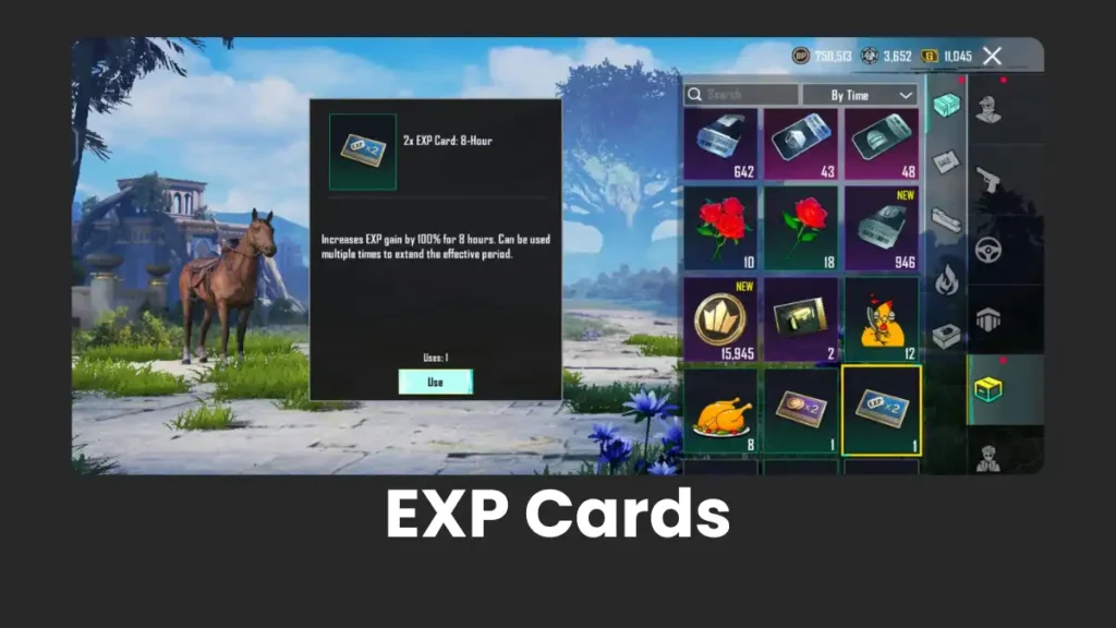 EXP Cards and how to use them